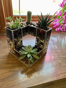 Michelle Lintvedt- pattern Brilliant3D