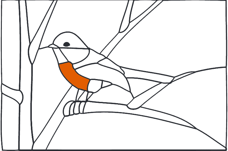 Designing a stained glass bird sitting on a branch showing how colours can be added to give the impression of stained glass