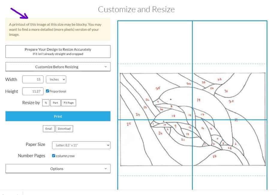 A screen shot of the drawing tool in rapid resizer showing the customise options