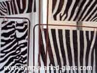 Zebra Glass Painting Designs
